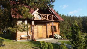 Kaszubskie Zacisze dom nad jeziorem, sauna, balia ogrodowa Śluza